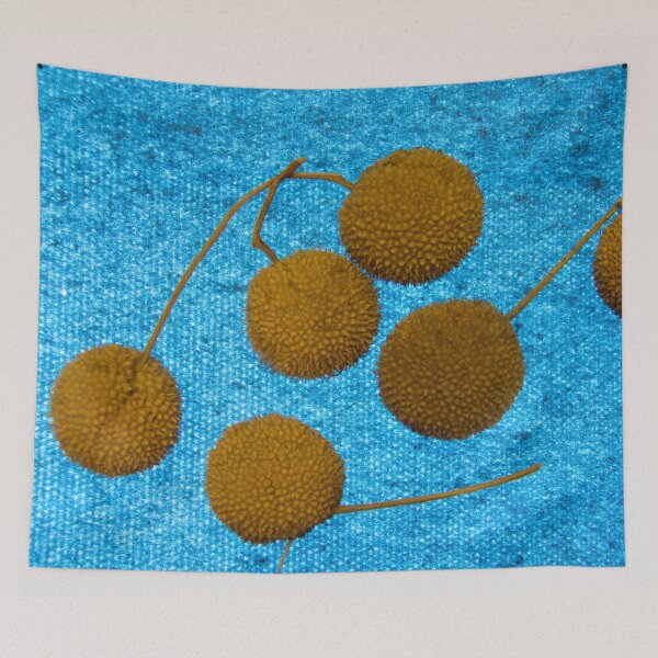 Item preview, tree seeds designed and sold by TessAndre.