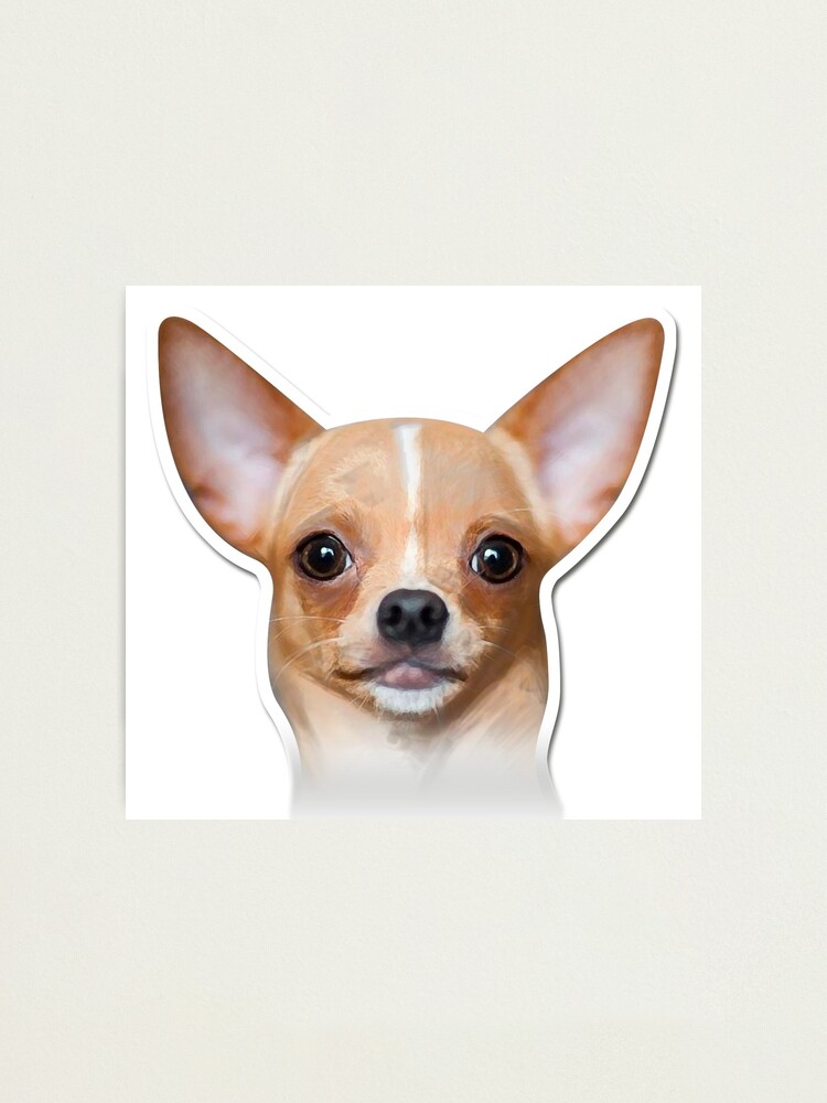Chihuahua Wall Clock Dog Canine