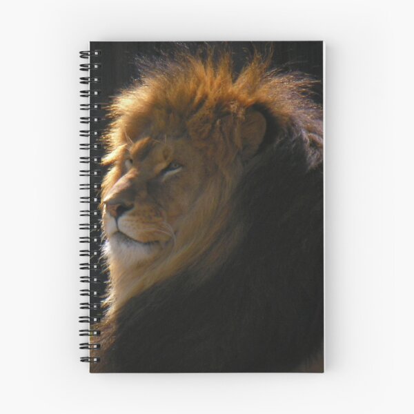 Item preview, "Moufasa the Mighty" designed and sold by Robert Burdick.