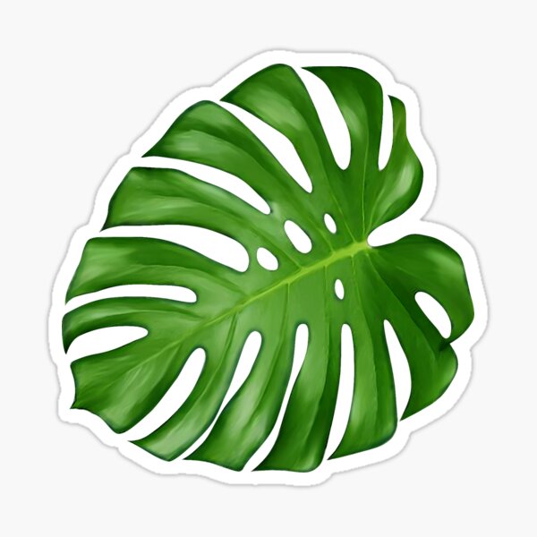 Monstera Deliciosa Leaf Sticker