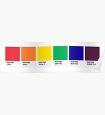LGBT COLOR PANTONE PALLETE GAY COMMUNITY DESIGN Poster