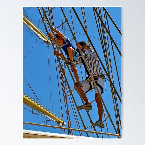 Item preview, Fledgling Climbs To Crow's Nest designed and sold by Nancy Richard.