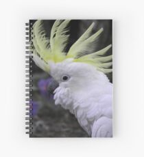 Sulphur Crested Cockatoo - Science Park, South Australia Spiral Notebook