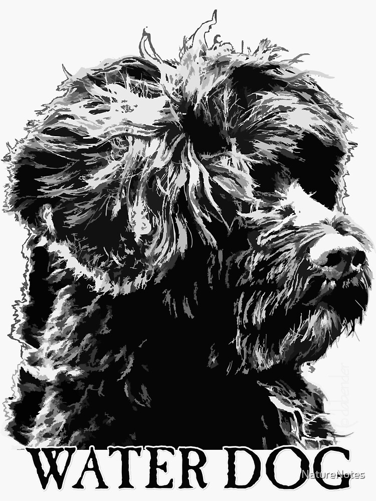 "Water Dog" Sticker for Sale by NatureNotes Redbubble