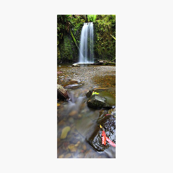 Mariners Falls, Otways National Park, Australia Photographic Print