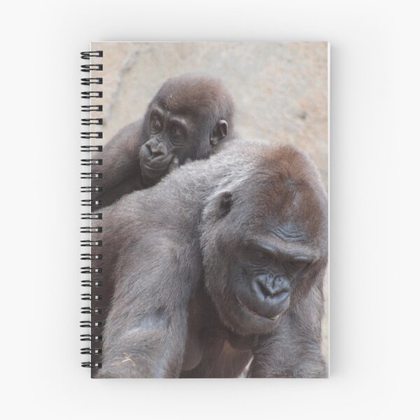 Artikelvorschau, MUM AND SON @ TARONGA ZOO SYDNEY entworfen und verkauft von briangardphoto.