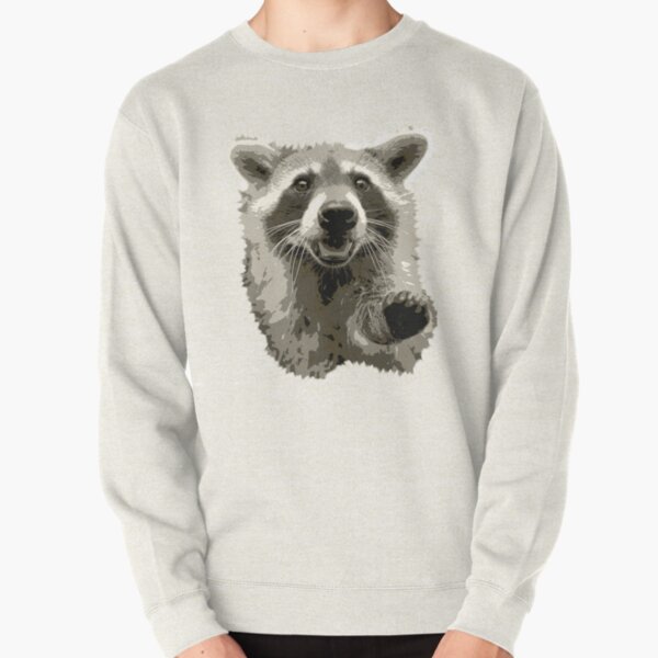 Raccoon Sweatshirts & Hoodies | Redbubble