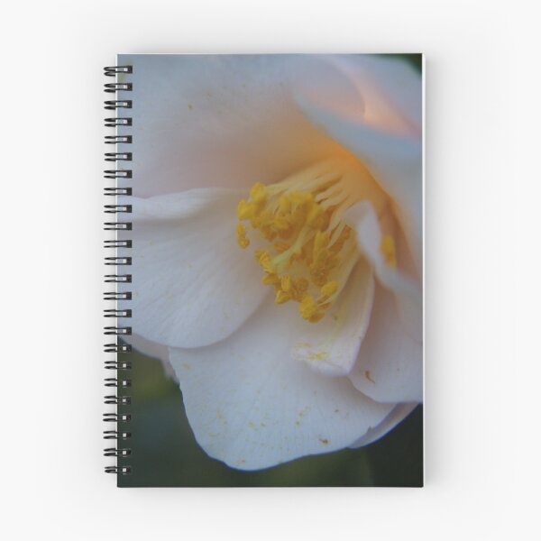 Item preview, Most beautiful things... designed and sold by michellerena.