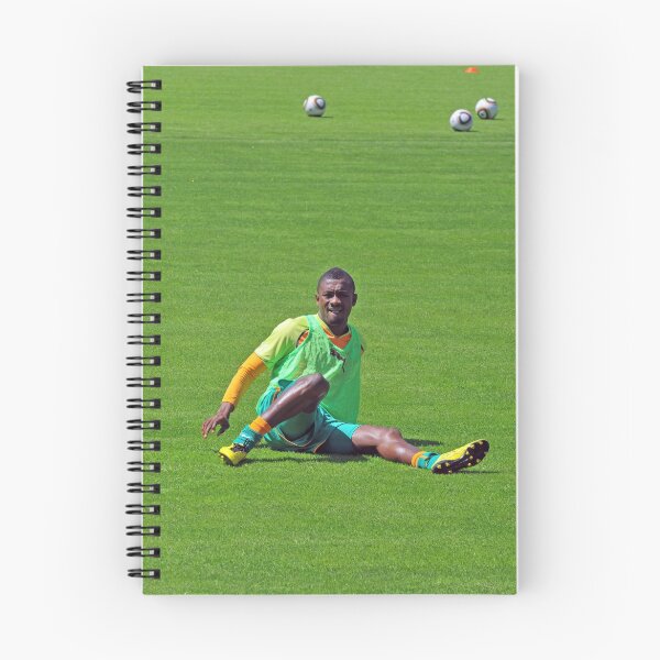 Item preview, Salomon Kalou designed and sold by neil harrison.