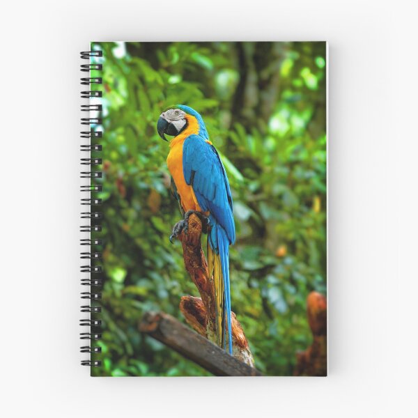 Item preview, Parrot I designed and sold by calmcolors.