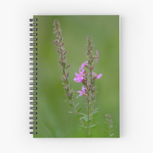 Item preview, Softly Loosestrife designed and sold by Heather Pickard.