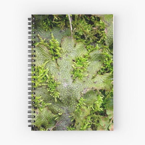 Item preview, Liver And A Side Of Moss designed and sold by Carla Wick/Jandelle Petters.