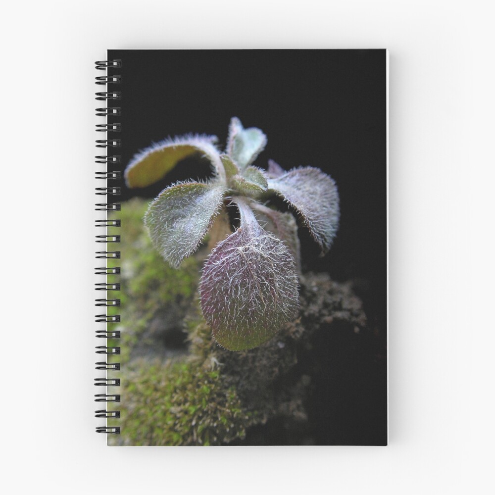 Item preview, Spiral Notebook designed and sold by SauriaMami.