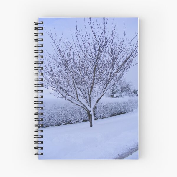 Aperçu de l'œuvre snow as fallen  créée et vendue par andrew  gregory.