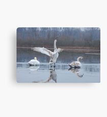 Reflections of Flexibility Canvas Print