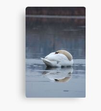 Swan Resting on Ice Canvas Print