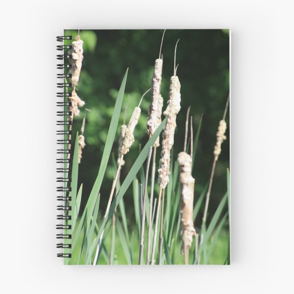 Item preview, Cat tails designed and sold by picturedreams89.