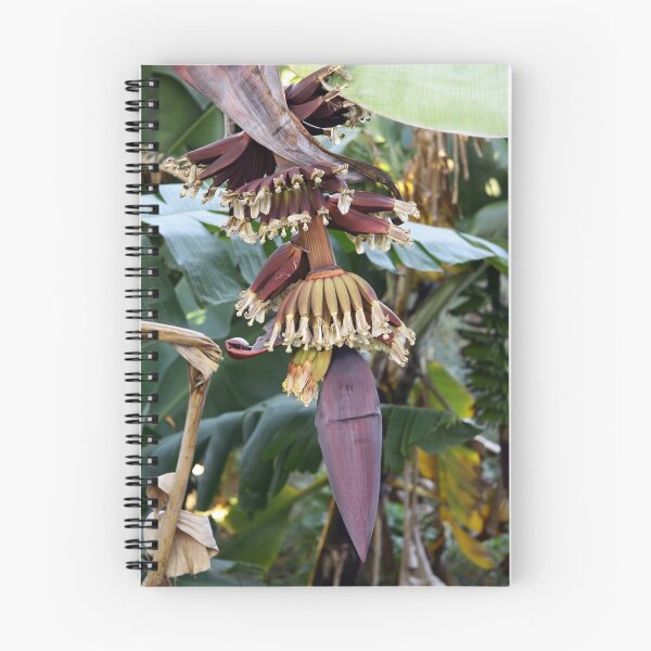 Item preview, red banana florescence designed and sold by rajeshbac.