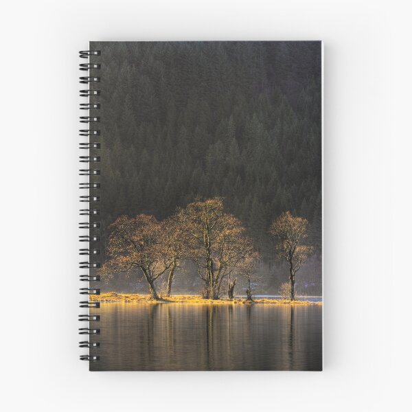 Item preview, Chon Highlights designed and sold by Karl Williams.