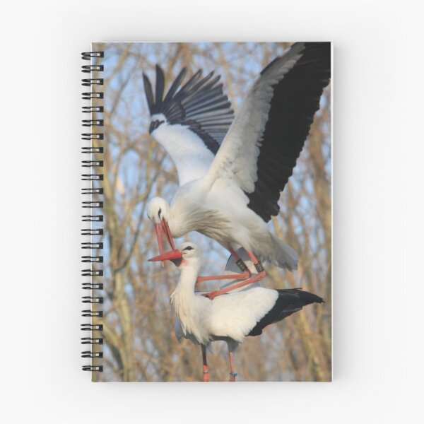 Item preview, White Stork Spring time designed and sold by DutchLumix.