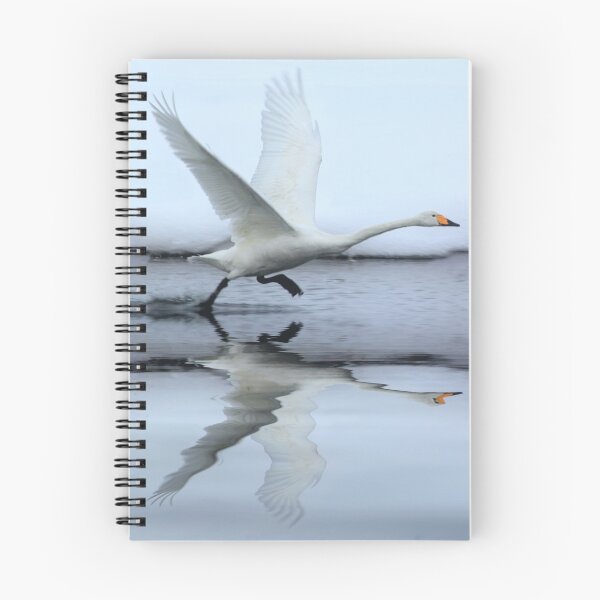 Item preview, Whooper Swan designed and sold by DutchLumix.