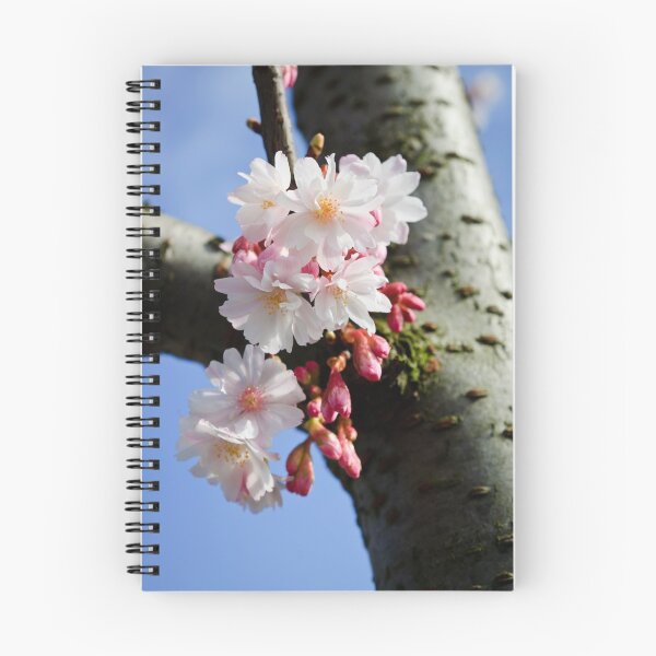 Item preview, Cherry blossom designed and sold by David Isaacson.
