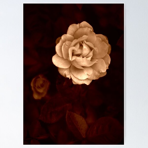 Item preview, Vintage glamour designed and sold by Agnes McGuinness.