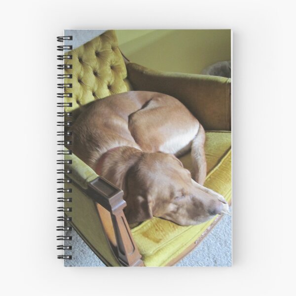 Artikelvorschau, Sunday Morning Nap entworfen und verkauft von Curleeblu.