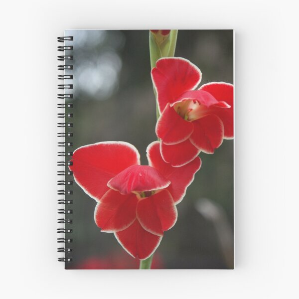 Item preview, Gladiolus designed and sold by Bob Hardy.