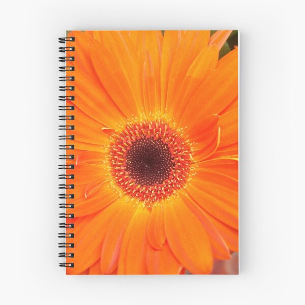 Item preview, Tangerine Gerbera designed and sold by rualexa.