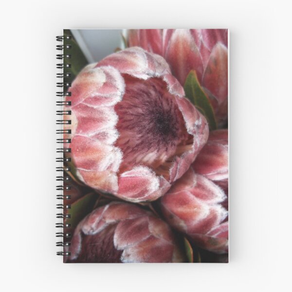 Item preview, Proteas designed and sold by rualexa.