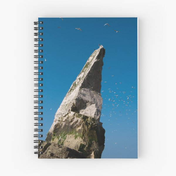 Item preview, Sea Stack designed and sold by mikebov.