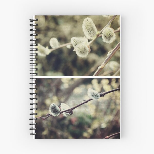 Item preview, Spring - Catkins designed and sold by Sybille Sterk.