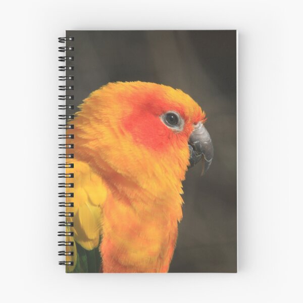 Item preview, Sun Parakeet designed and sold by DutchLumix.