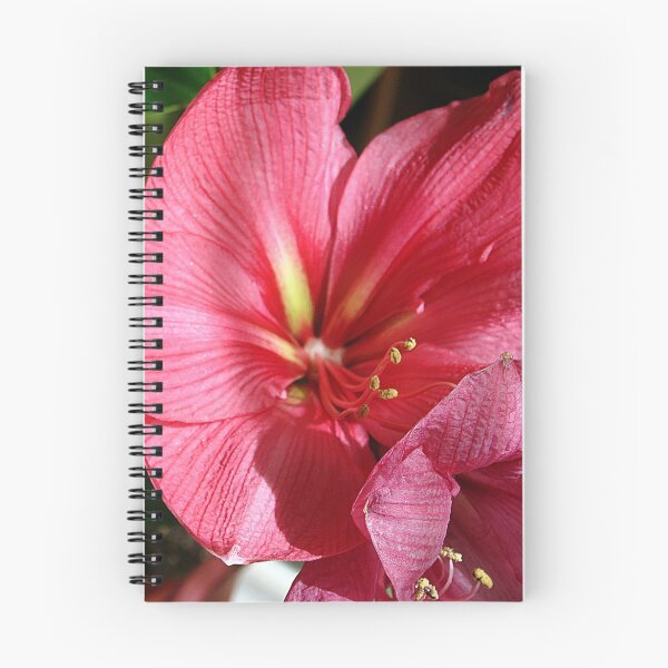 Item preview, Mauve Amaryllis designed and sold by Onehun.