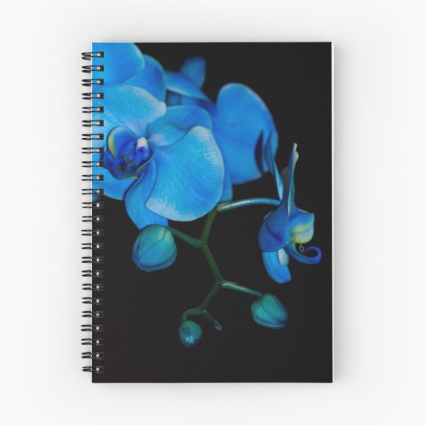 Item preview, Blue Orchids designed and sold by olga zamora.