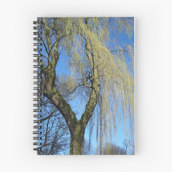 Item preview, Weeping willow designed and sold by Stephanie Owen.