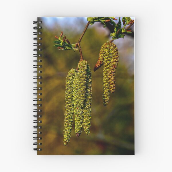 Item preview, Catkins designed and sold by SWEEPER.