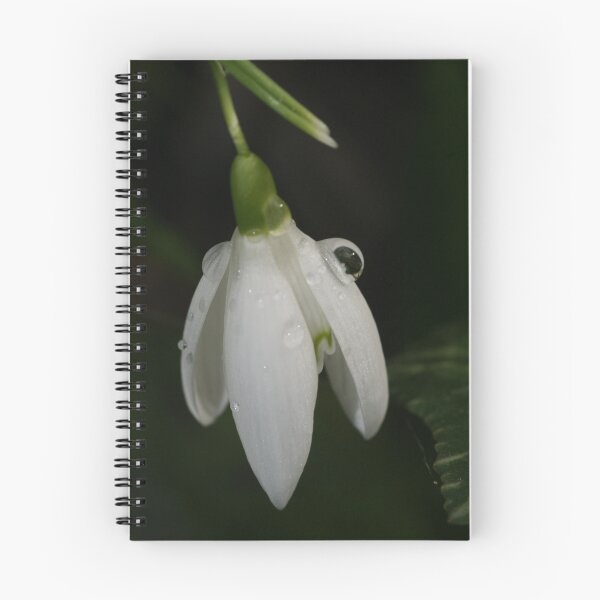 Item preview, Snowdrop with Glistening Dew designed and sold by MendipBlue.