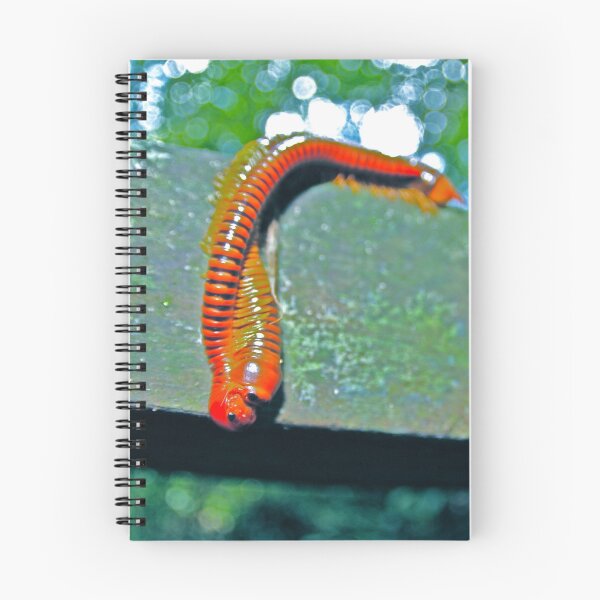 Item preview, MAKIN OUT MILLIPEDES designed and sold by NICK COBURN PHILLIPS.