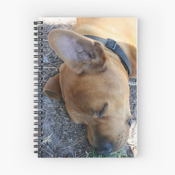 Item preview, It's A Dogs Life designed and sold by shazart.