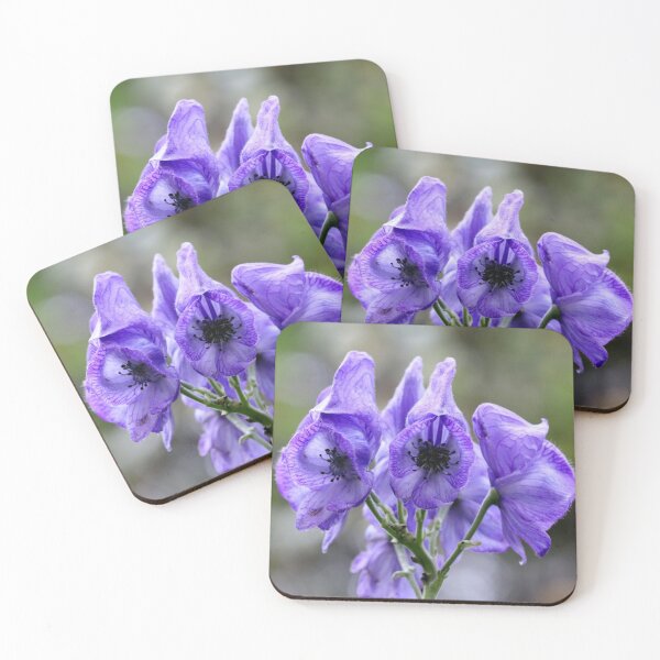 Item preview, Monkshood designed and sold by cuprum.