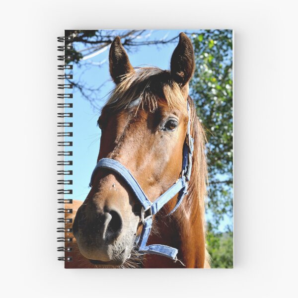 Item preview, Horse designed and sold by INTERACTION.