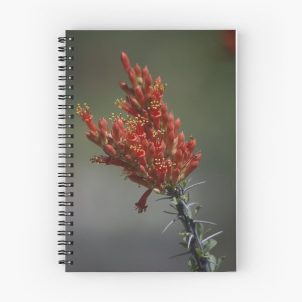Item preview, Ocotillo Flower designed and sold by Dawn Parker.