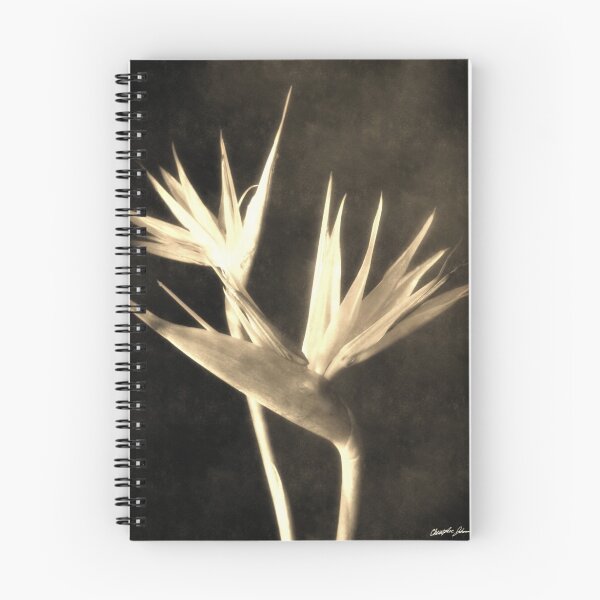 Item preview, Cut Bird of Paradise Flowers 2 Antiqued designed and sold by TravelPhotoArt.