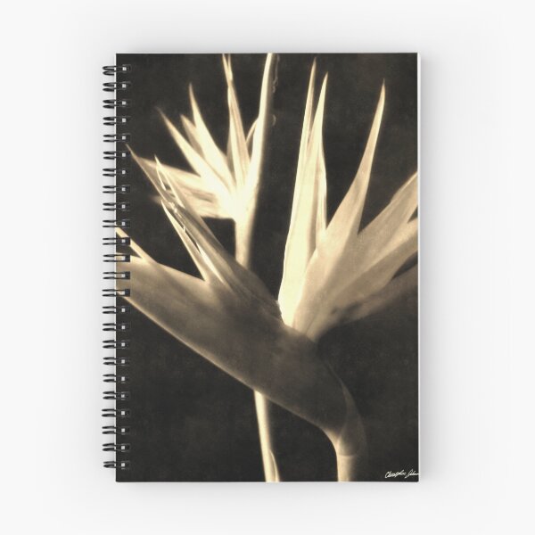 Item preview, Cut Bird of Paradise Flowers 1 Antiqued designed and sold by TravelPhotoArt.