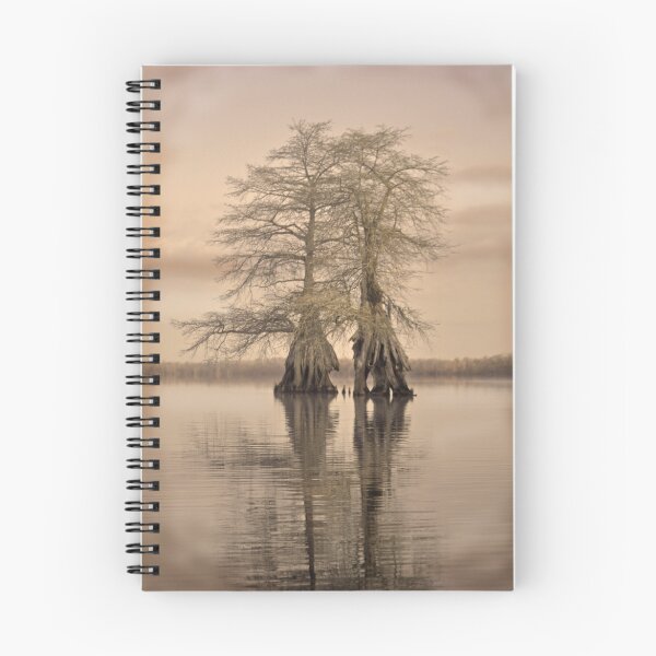 Item preview, Good morning cypress designed and sold by Michele Conner.