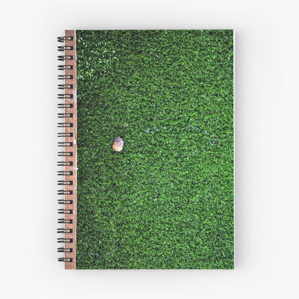Item preview, Snail designed and sold by INTERACTION.