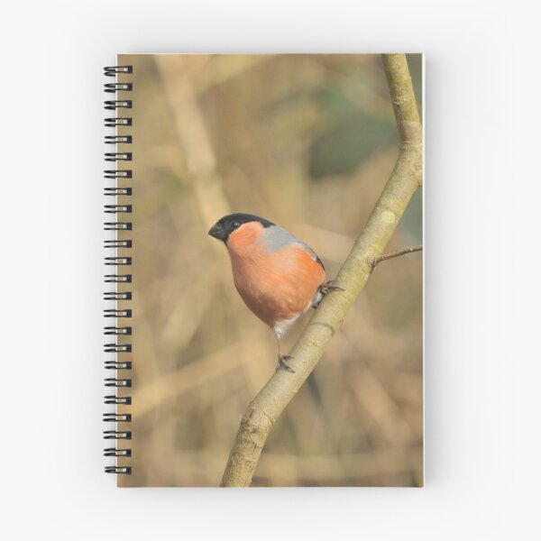 Item preview, A wonderful Bull Finch designed and sold by cameravan1.