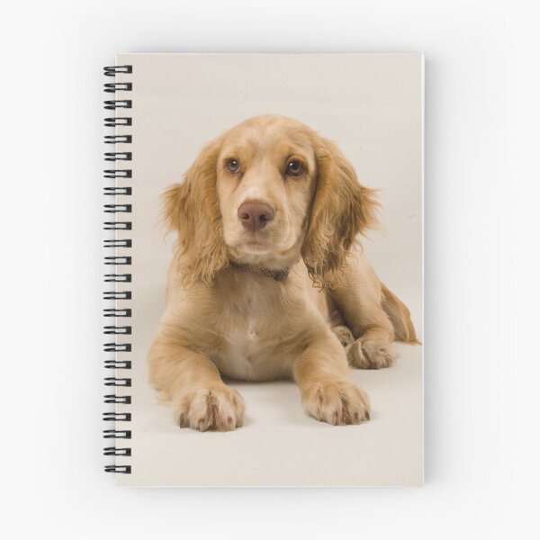 Item preview, A Stuning Image of a Field Working Cocker Spaniel Pup designed and sold by cameravan1.